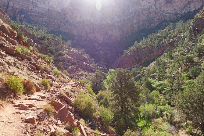 Zion National Park Small Group Tour from Las Vegas - The Practical Side: Transportation, Cost, and Logistics