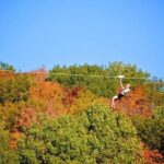 Ziplines over Laurentian Mountains at Mont-Catherine - Analyzing the Value