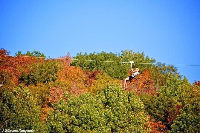 Ziplines over Laurentian Mountains at Mont-Catherine - Analyzing the Value
