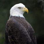 Zoo Miami: General Admission Ticket - Is Zoo Miami Worth It?