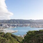 1/2 Day Guided Wellington Tour incl. Cable Car (Vans not buses) - The Scenic Mount Victoria Lookout