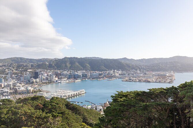 1/2 Day Guided Wellington Tour incl. Cable Car (Vans not buses) - The Scenic Mount Victoria Lookout