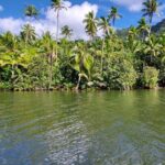 1/2 day "Treasures of Raiatea" by boat - ideal for cruise passengers - Frequently Asked Questions