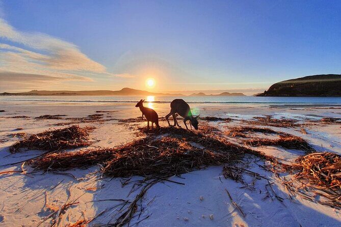 10-Day Perth to Adelaide Adventure Tour - The Coastal Shift: Esperance and Lucky Bay