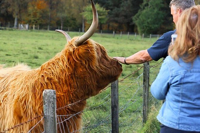 2-Day Jacobite Experience including the Hogwarts Express from Edinburgh - Day 1: Pitlochry for a quick bite, Clava Cairns for Outlander flavor