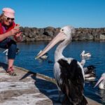 2 Hour Highlights of Eden Tour - What You Get for the Price