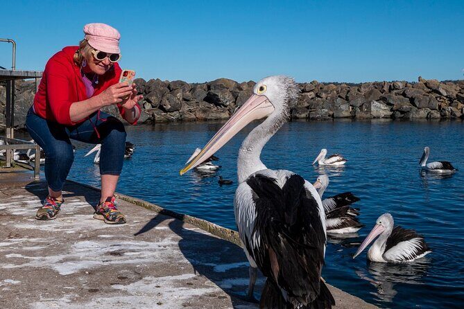 2 Hour Highlights of Eden Tour - What You Get for the Price