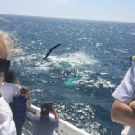 2 hour whale watching experience departing Hillarys Boat Harbour - The Value of This Tour