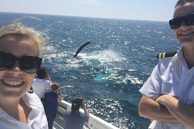 2 hour whale watching experience departing Hillarys Boat Harbour - The Value of This Tour