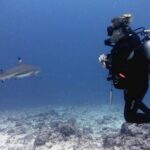 2 Tank (1 Day) Guided Diving for Certified Divers - Denarau Marina - Who Is This Tour Best Suited For?