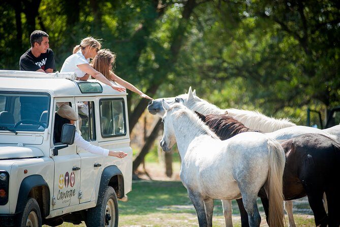 3.5 Hour Camargue 4x4 Safari from Le Grau-du Roi - Real Traveler Perspectives: What the Reviews Actually Tell Us