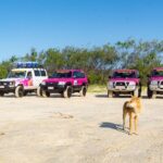 3 Day PINK4WD Tagalong Tour - K'gari/Fraser Island - Meeting and Departure