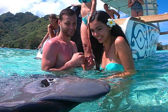 3-hour Lagoon Snorkeling Tour - Shared Tour - Who Is This Tour Best For?