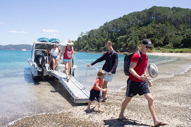3 Hours // Hole in the Rock Cruise & Bay of Islands Tour - Wildlife and Marine Life Experiences