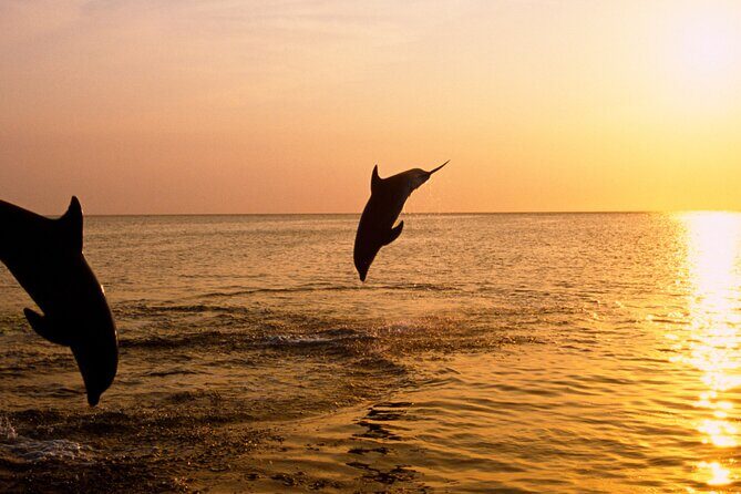 3hours all inclusive Sunset&Dolphin Tour from Medulin on Sandra - The Practical Details That Matter