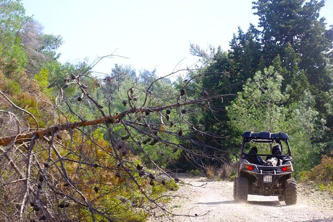 4x4 Buggy Adventures - Off-road Polaris Experience - Meeting Point: The One Logistics Detail That Can Trip You Up