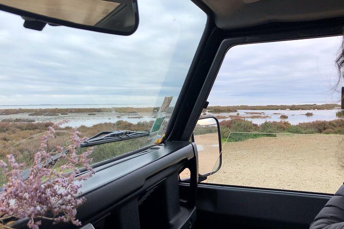 4x4 Camargue Safari 4h - Departure from Arles - How the Tour Actually Flows