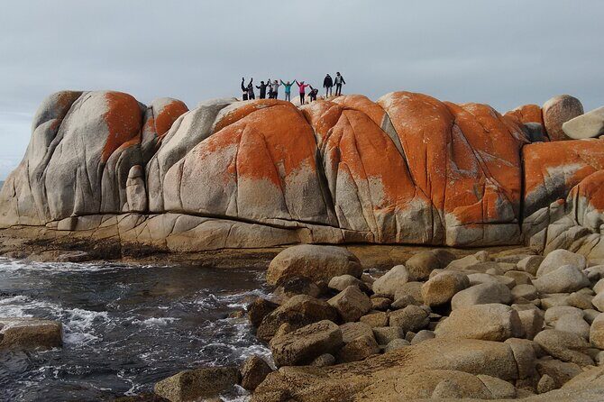 6-Day Tasmanian Explorer Adventure Tour from Hobart - Final Thoughts