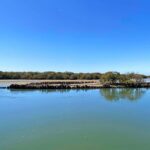 90 Minute Port River Dolphin & Ships Graveyard Cruise - Who Should Consider This Tour?