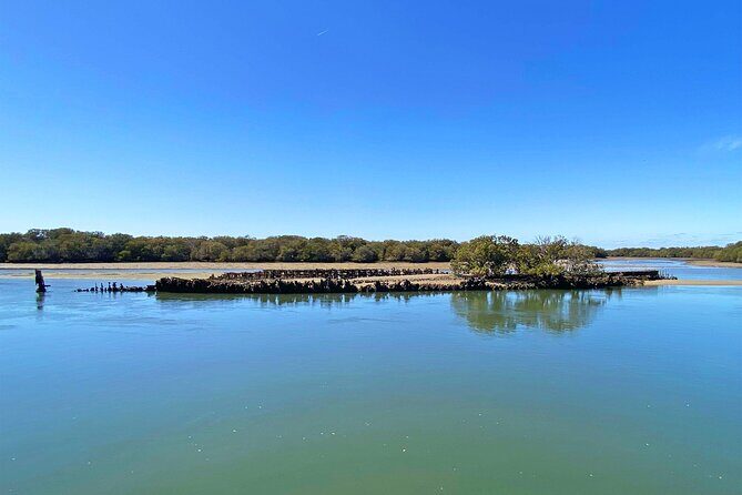 90 Minute Port River Dolphin & Ships Graveyard Cruise - Who Should Consider This Tour?