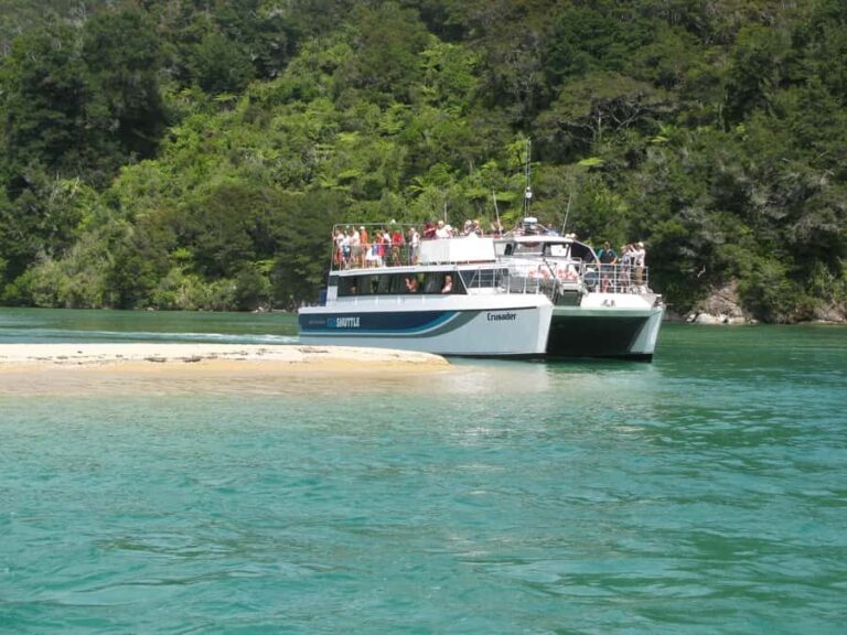 Abel Tasman National Full Park Scenic Cruise - The Experience: A Balance of Views and Comfort