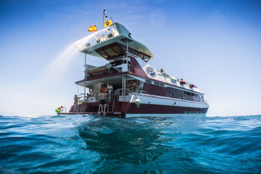 Adeje: Whale and Dolphin Watching Cruise with Lunch and Swim - The Two Cruise Options: Diego Hernandez Bay vs Los Gigantes