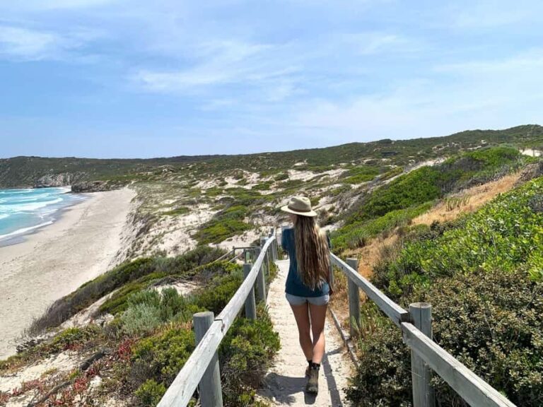 Adelaide: 3-Day Kangaroo Island Adventure Tour with Camping - Practical Details and What to Expect