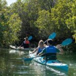 Adelaide: Dolphin Sanctuary Eco Kayaking Tour - Practical Details and Logistics