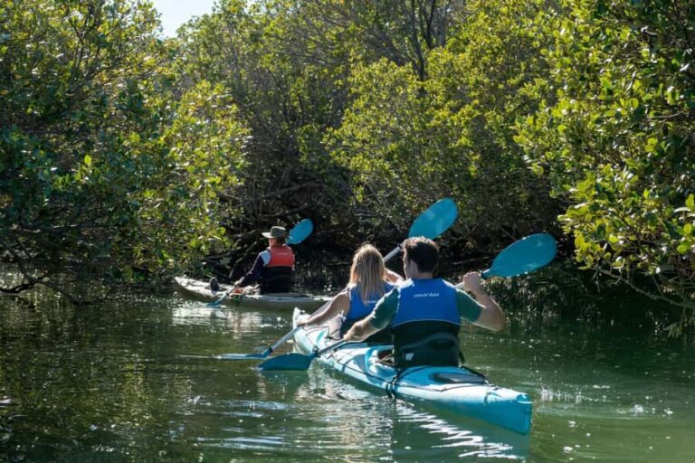 Adelaide: Dolphin Sanctuary Eco Kayaking Tour - Practical Details and Logistics