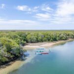Adelaide: Dolphin Sanctuary Mangroves Kayak Tour - What We Like About the Tour
