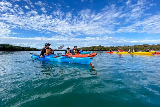 Adelaide Dolphin Sanctuary Mangroves Kayaking Tour - Frequently Asked Questions