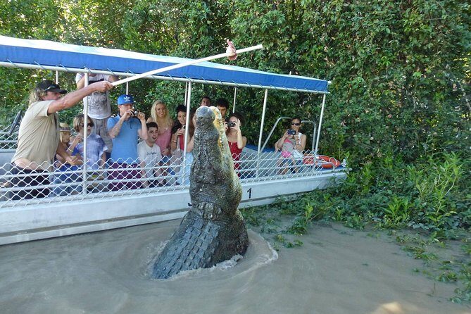 Adelaide River Cruises - Jumping Crocodile Experience - The Itinerary in Detail