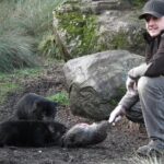 After Dark Tasmanian Devil Feeding Tour at Cradle Mountain - Who Will Love This Tour?