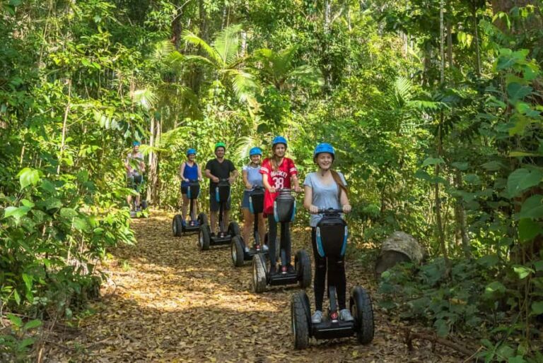 Airlie Beach: Segway Rainforest Discovery Tour - The Experience from the Traveler’s Perspective