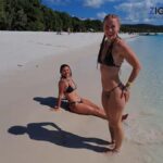 Airlie Beach: Whitehaven Beach Day Tour with Snorkel Option - Who is This Tour Perfect For?