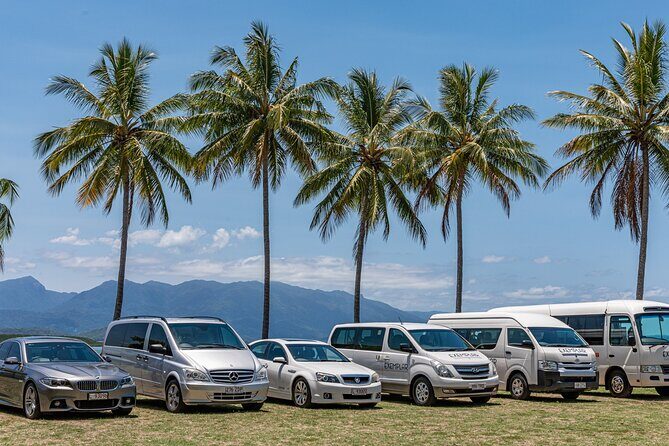 Airport Transfers between Cairns Airport and Port Douglas - What to Expect During Your Transfer