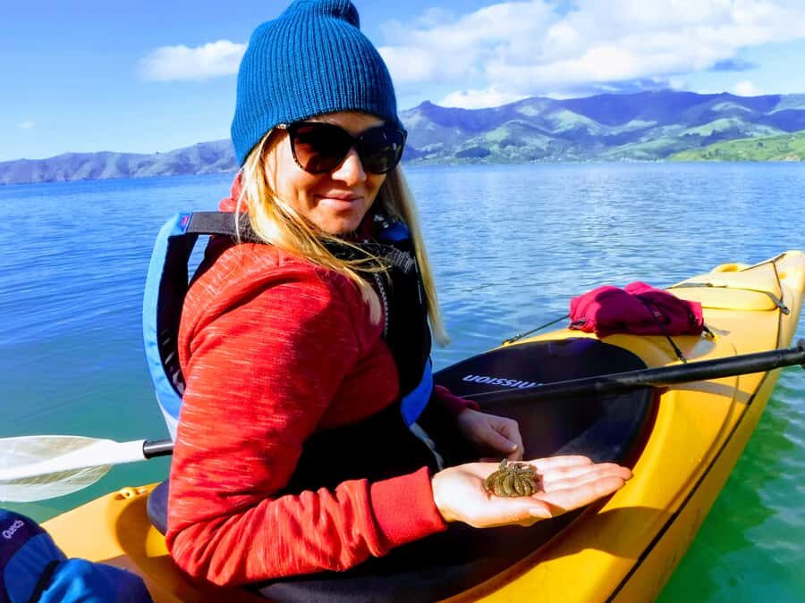 Akaroa: Guided Sunrise Sea Kayaking Tour - Why Choose an Early Morning Tour?