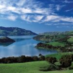 Akaroa Harbour 2-Hour Dolphin Nature Cruise - The Geological and Scenery Highlights