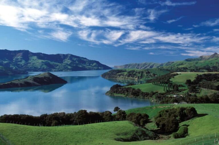 Akaroa Harbour 2-Hour Dolphin Nature Cruise - The Geological and Scenery Highlights