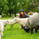 Akaroa: Pohatu Penguins Scenic Nature 2-Hour or 4-Hour Tour - Pohatu Bay and the Farm Visit