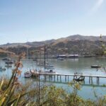 Akaroa Shore Excursion: Banks Peninsula, Christchurch City Tour and the International Antarctic Centre - The Itinerary in Detail