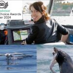 Albatross, seals, and sea birds-Wildlife Cruise - Who Is This Tour Best For?