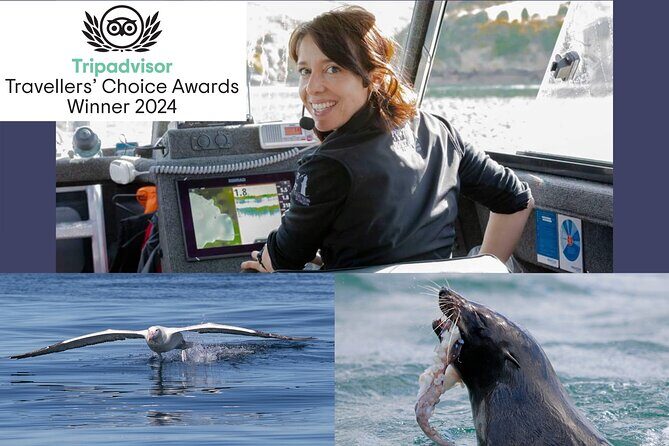 Albatross, seals, and sea birds-Wildlife Cruise - Who Is This Tour Best For?