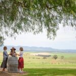 All Inclusive Barossa Valley Food and Wine Tour - The Experience: What We Think