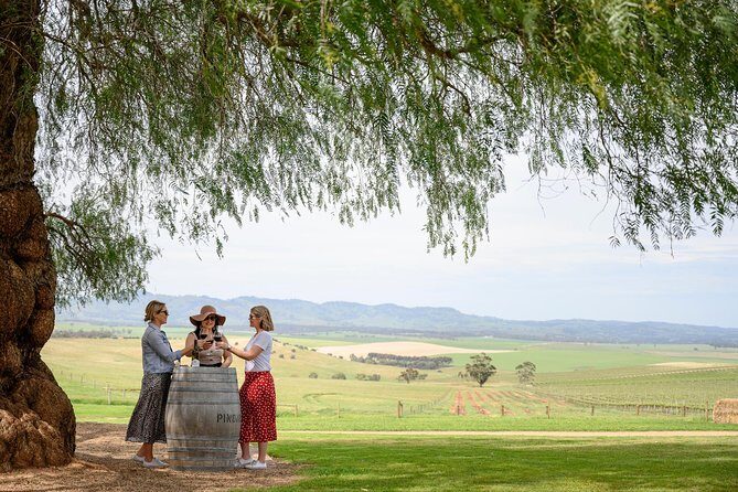 All Inclusive Barossa Valley Food and Wine Tour - The Experience: What We Think