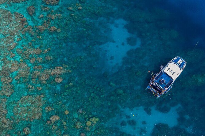 All Inclusive Great Barrier Reef Cruise w optional Scuba Diving - Who Should Consider This Tour?