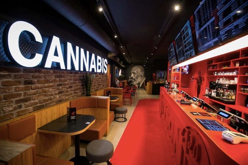 Amsterdam: Ganja Walking Tour - Who’s Behind the Walk: Erik’s DJ-Guide Style