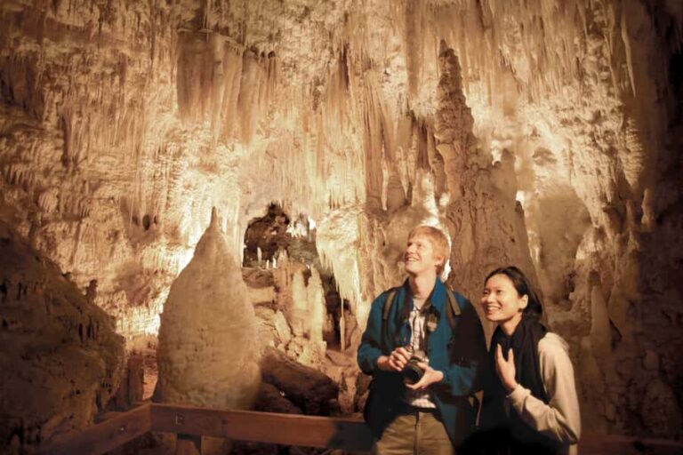 Aranui Cave 1-Hour Guided Tour - What to Expect During Your Visit