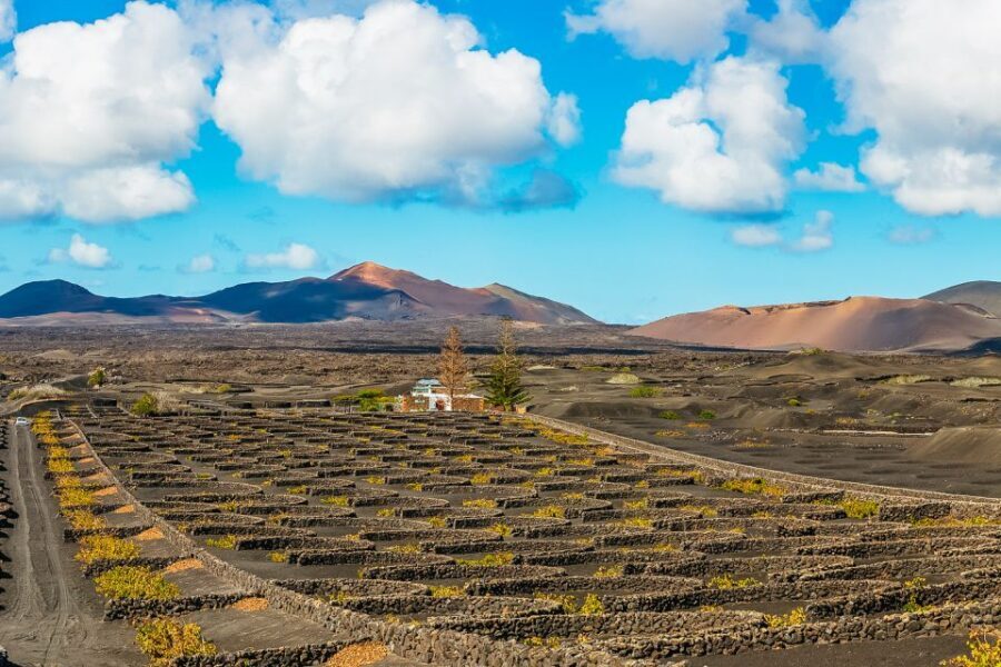 Arrecife: Timanfaya and Green Lagoon for Cruise Passengers - Cruise logistics: meeting at HiperDino Express Marina (and the police checkpoint)