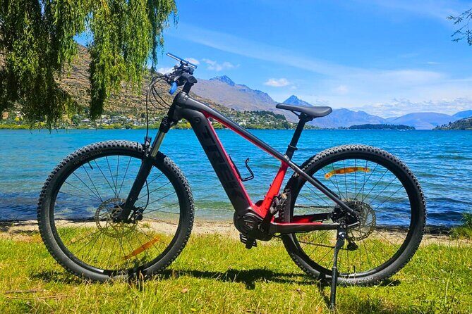 Arrowtown to Queenstown Bike Tour with Shuttle - Who Is This Tour Best For?